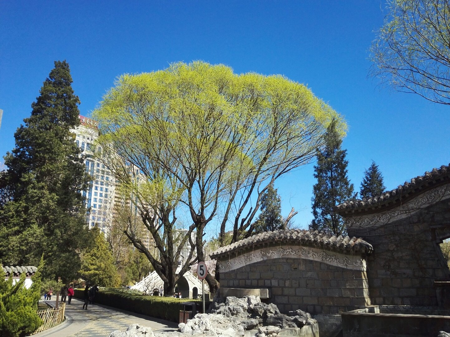 朝陽區(qū)東大橋換紗窗